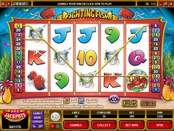 Fighting Fish slots